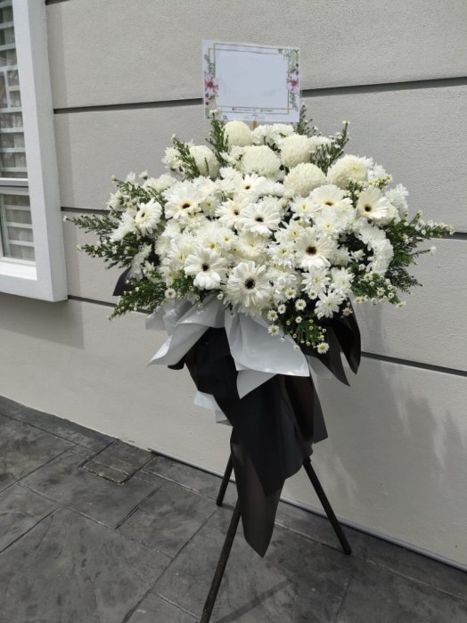 Peaceful Tribute